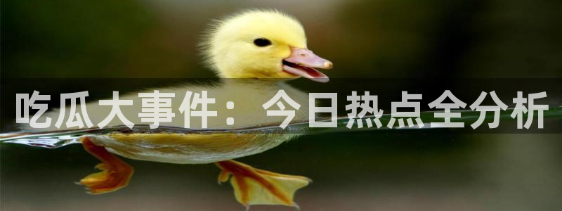 网络热点事件始末