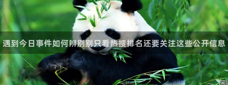 理性吃瓜后续进展