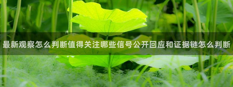 吃瓜真相热点汇总