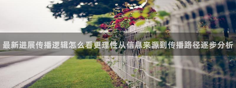 吃瓜新闻后续进展