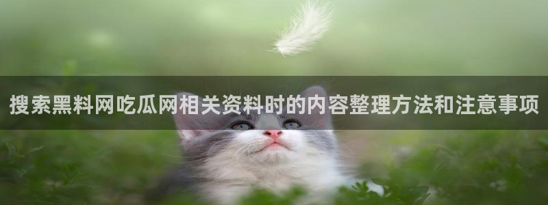娱乐吃瓜信息核验