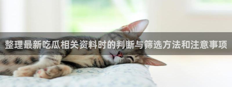 最新吃瓜公开回应
