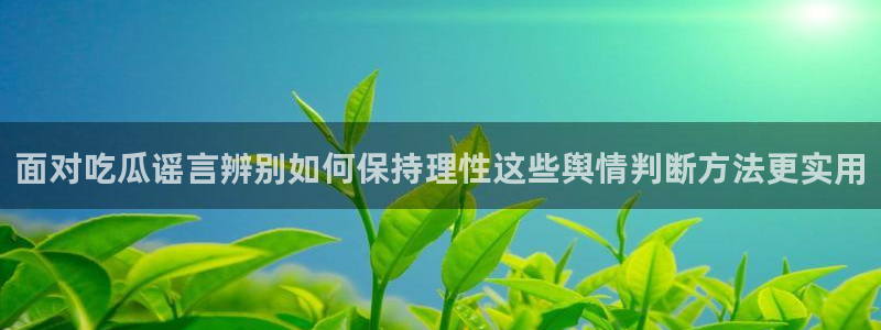 职场热点完整时间线