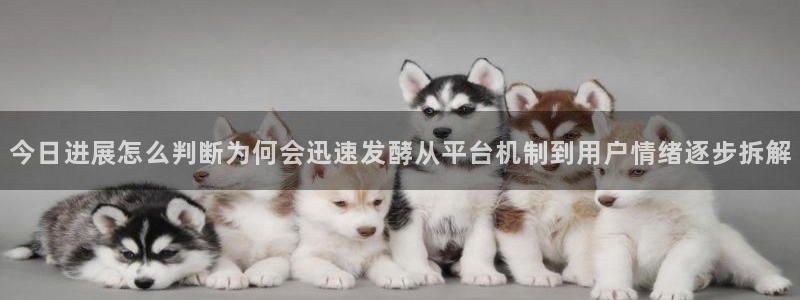 娱乐吃瓜最新消息